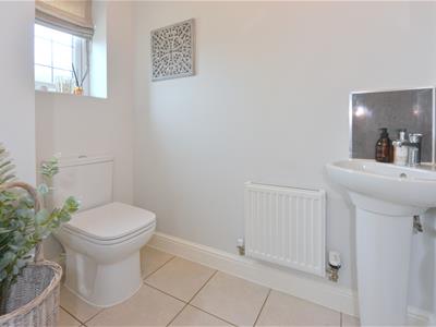 Picture 19